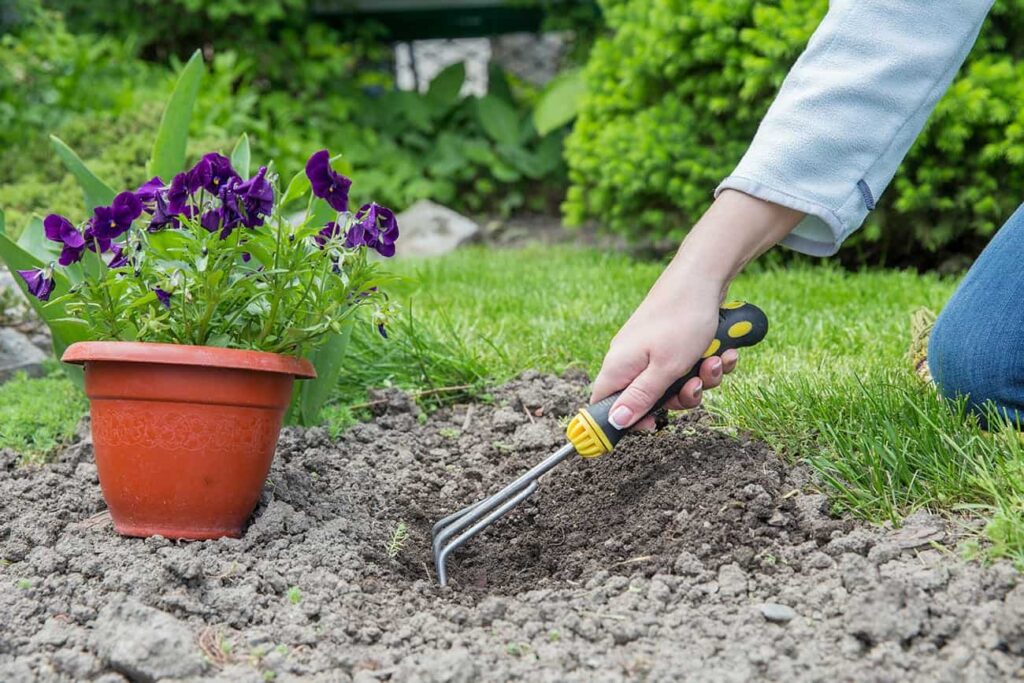 weed control amarillo